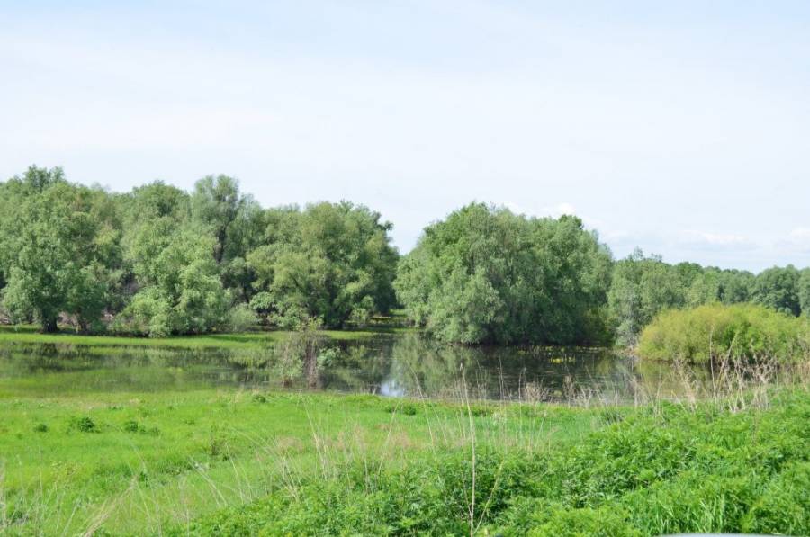 Поля, залитые Обской водой.