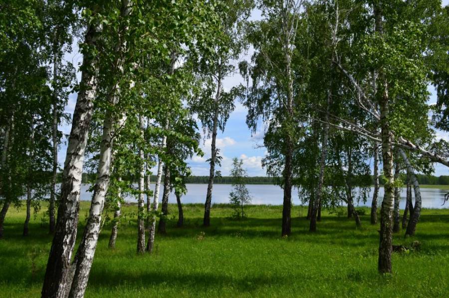 озеро Новосибирская область Сузунский район
