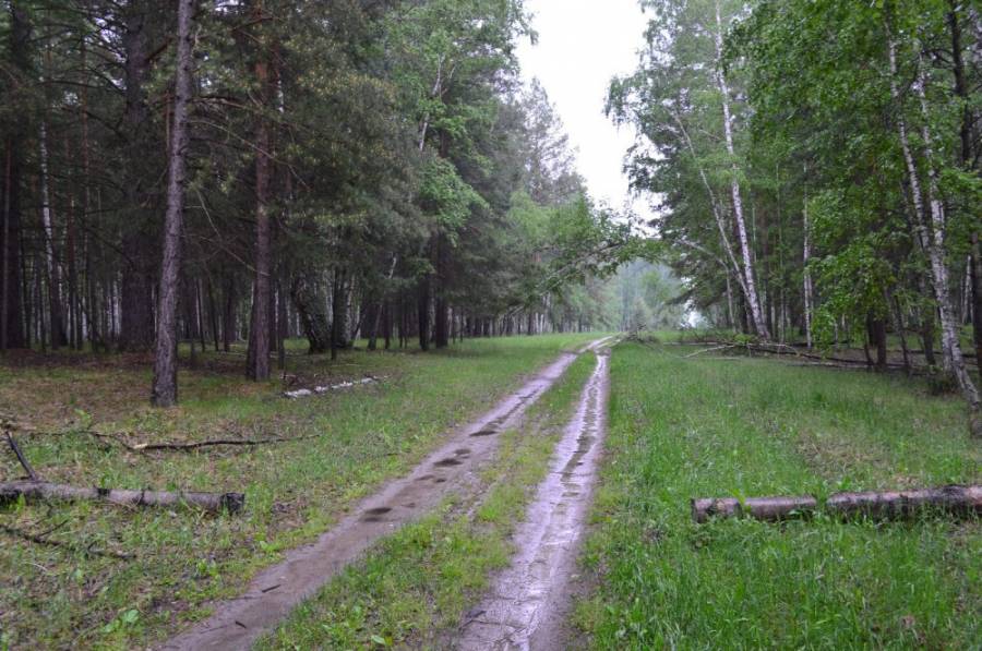 Погода портилась, накрапывал монотонный, мелкий дождик.