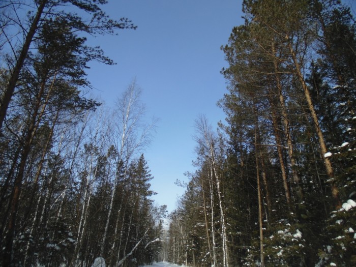 Рыбалка на озере Белое