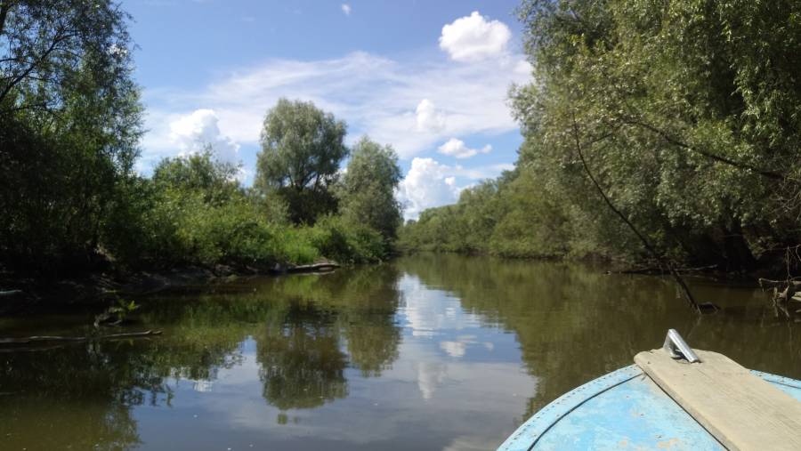 Рыбалка в Сузуне на моторных лодках с гидами