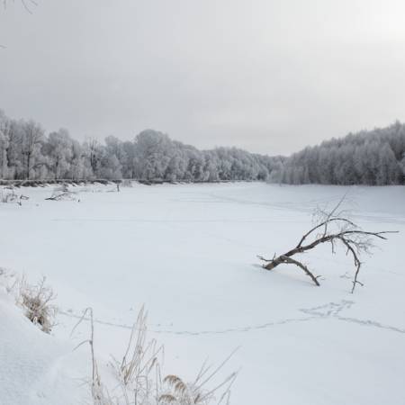 Посмотреть крупнее