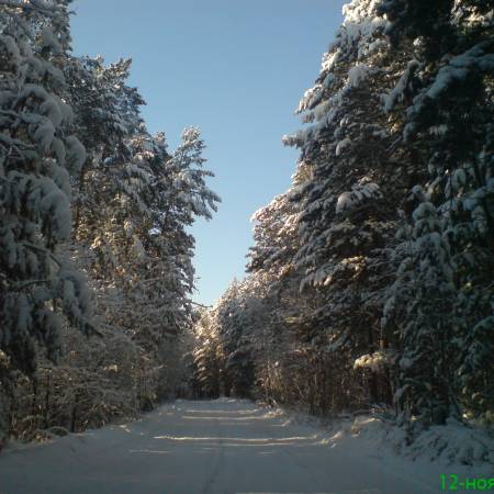 Посмотреть крупнее