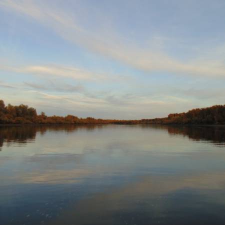 Посмотреть крупнее