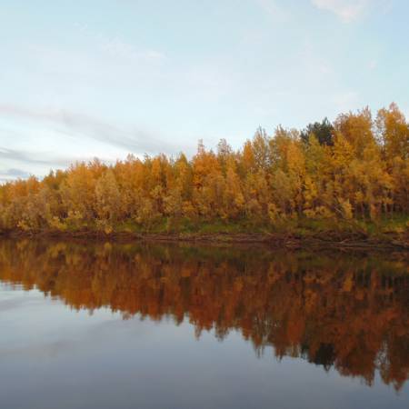 Посмотреть крупнее