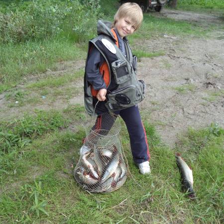 Посмотреть крупнее