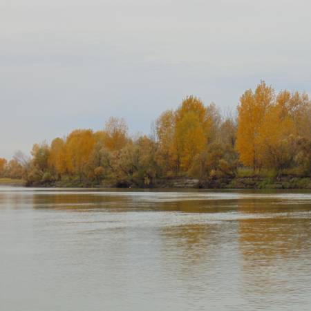 Посмотреть крупнее