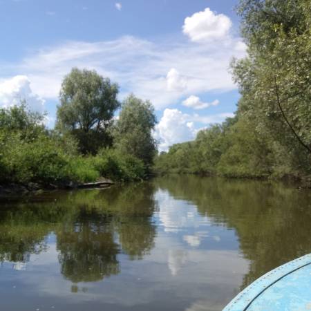 Посмотреть крупнее