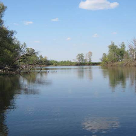 Посмотреть крупнее