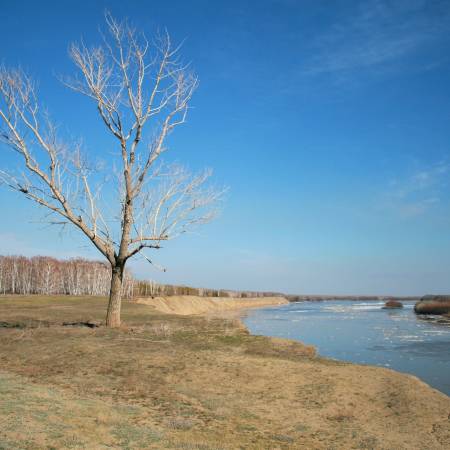 Посмотреть крупнее