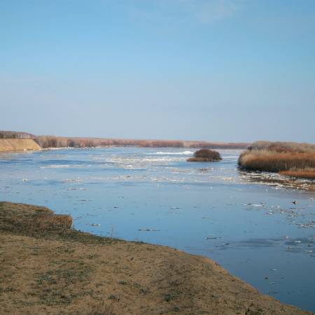 Посмотреть крупнее
