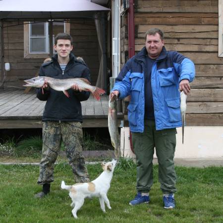Посмотреть крупнее