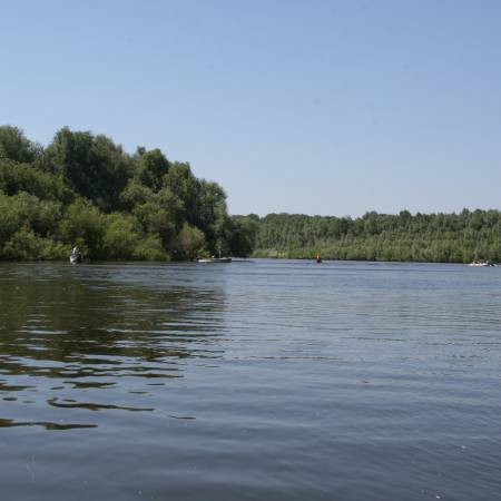 Посмотреть крупнее