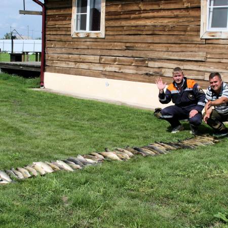 Посмотреть крупнее
