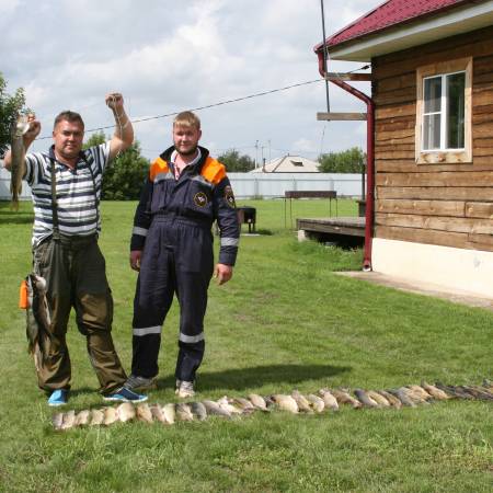 Посмотреть крупнее