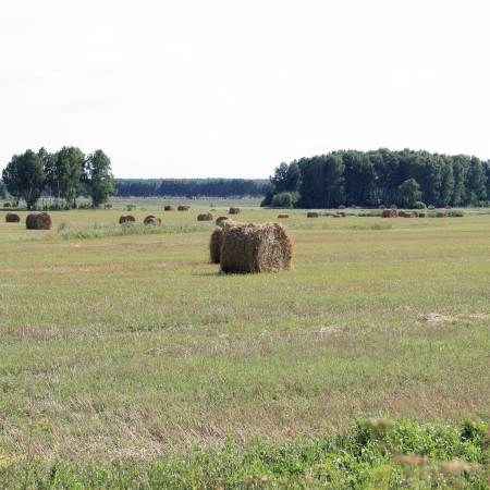 Посмотреть крупнее