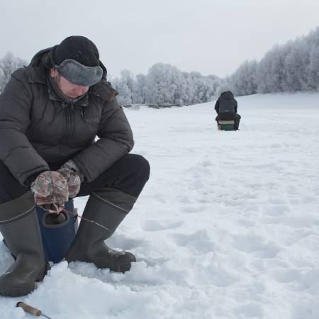 Посмотреть крупнее