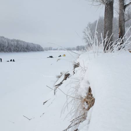 Посмотреть крупнее