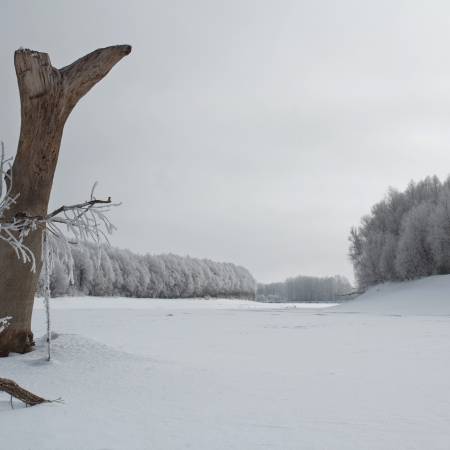 Посмотреть крупнее