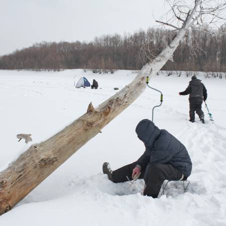 Посмотреть крупнее