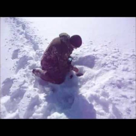 Смотреть видео