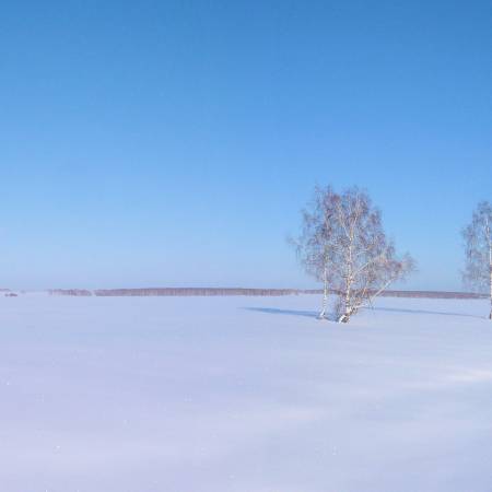 Посмотреть крупнее