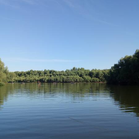 Посмотреть крупнее