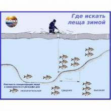 Где искать леща зимой.